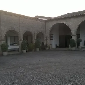 Serena , Vigonovo (Veneto) Italia